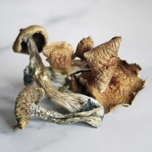 Buy Pure Penis Envy Mushrooms Online |Best Magic Shrooms
