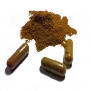 Buy Ibogaine Capsules Bulk Online |Psychedelicranger