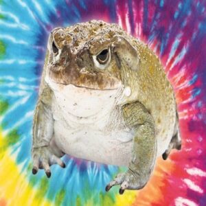 Buy Raw Bufo Venom Discreetly Online |Psychedelicranger
